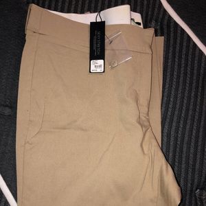 Lane Bryant Allie Pant